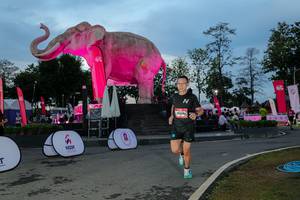 BIB: 
                            <button type="button" onclick="openModal(26529654)" class="btn btn-primary btn-sm float-right btn-popup" data-toggle="modal" data-target=".modal-high-quality">
                        <i class="fas fa-shopping-cart"></i> Add to Cart
                    </button>
                                            <button type="button" onclick="isThisMe(26529654, true)" class="btn btn-success btn-sm float-right btn-popup btn-isme hidden" data-toggle="tooltip" data-placement="bottom" title="นี่คือรูปของคุณใช่ไหม คลิกที่นี่เพื่อเอาเข้าอัลบั้ม">
                        <i class="fas fa-plus"></i> Add to album
                    </button>
                    <button type="button" onclick="isThisMe(26529654, false)" class="btn btn-warning btn-sm float-right btn-popup btn-isnotme hidden">
                        <i class="fas fa-ban"></i> Remove from album
                    </button>